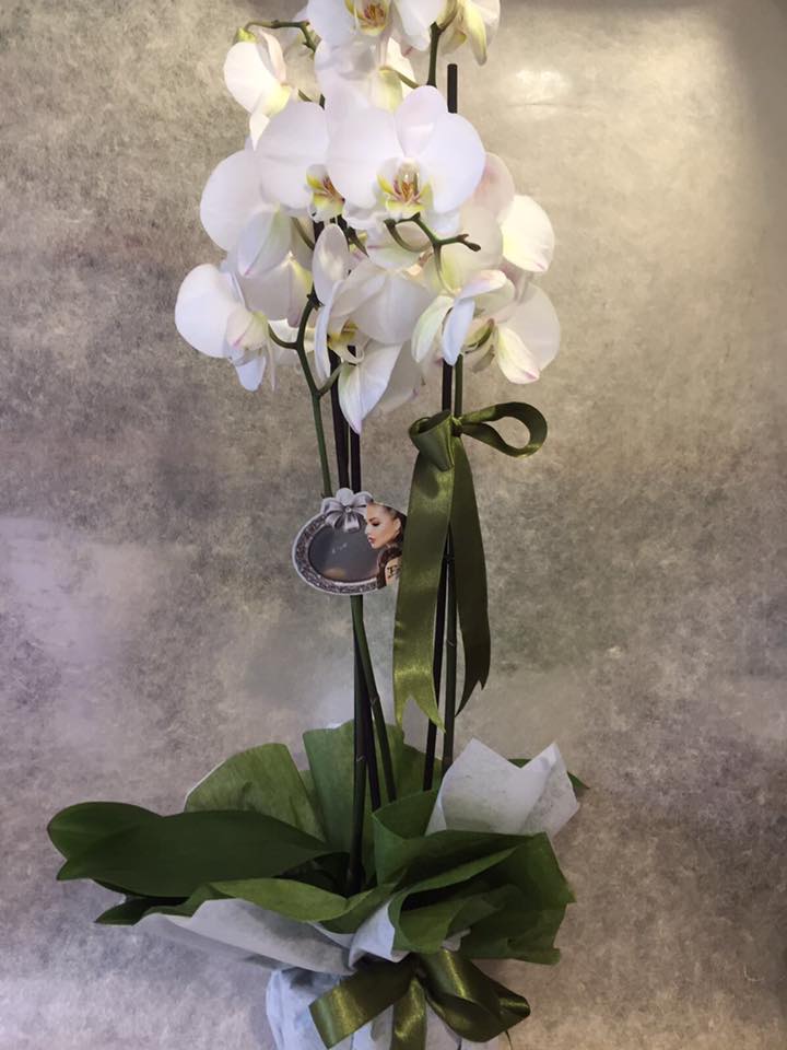 Orkide  Seramikli-ch-46